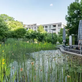 Bild von Kottmann-Kohler Gartenbau AG