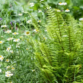 Bild von Kottmann-Kohler Gartenbau AG