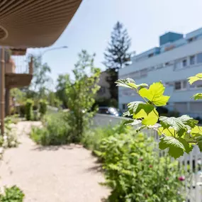 Bild von Kottmann-Kohler Gartenbau AG