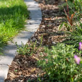 Bild von Kottmann-Kohler Gartenbau AG