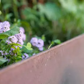 Bild von Kottmann-Kohler Gartenbau AG