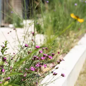 Bild von Kottmann-Kohler Gartenbau AG