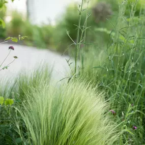 Bild von Kottmann-Kohler Gartenbau AG