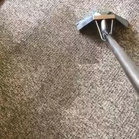 smile carpet cleaning: a carpet deep cleaned in bury