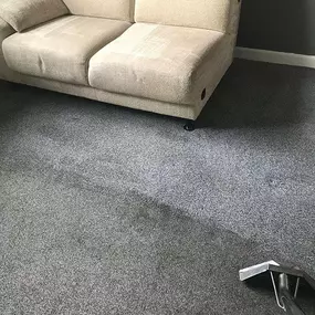 smile carpet cleaning: a carpet cleaned in bolton