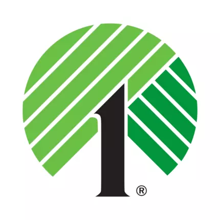 Logo od Dollar Tree