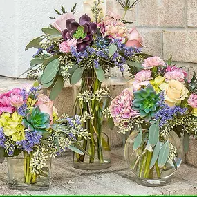 Bild von Dollar Tree