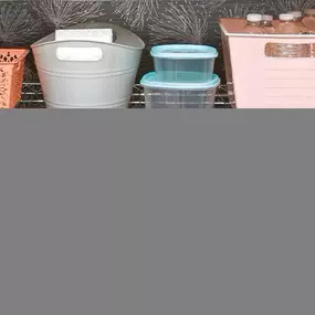 Dollar Tree Store