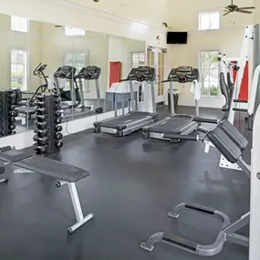 Health club  fitness center  gym