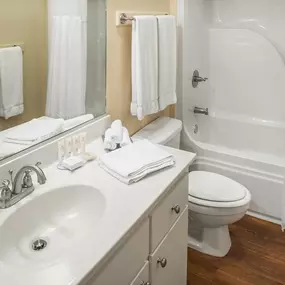 Guest room bath