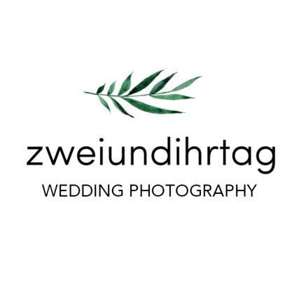 Logo from David Zimmermann | Hochzeitsfotograf Köln