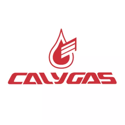 Logo da Calygas S.L.