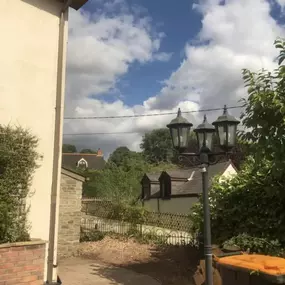 Bild von SW TREES