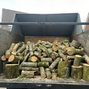 Bild von SW TREES