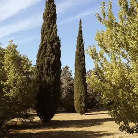 Bild von Le Galinier, Lourmarin, a Beaumier guesthouse