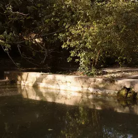 Bild von Le Galinier, Lourmarin, a Beaumier guesthouse