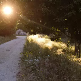 Bild von Le Galinier, Lourmarin, a Beaumier guesthouse