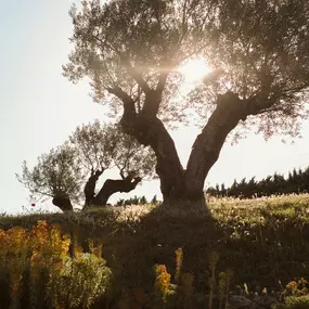 Bild von Le Galinier, Lourmarin, a Beaumier guesthouse