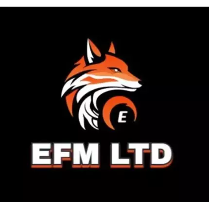 Logotipo de Elite Fox Management Ltd