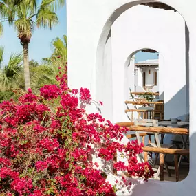 Bild von Petunia, Ibiza, a Beaumier hotel