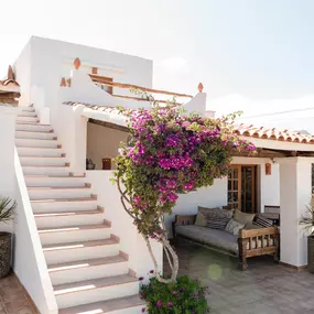 Bild von Petunia, Ibiza, a Beaumier hotel