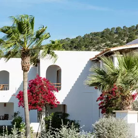 Bild von Petunia, Ibiza, a Beaumier hotel