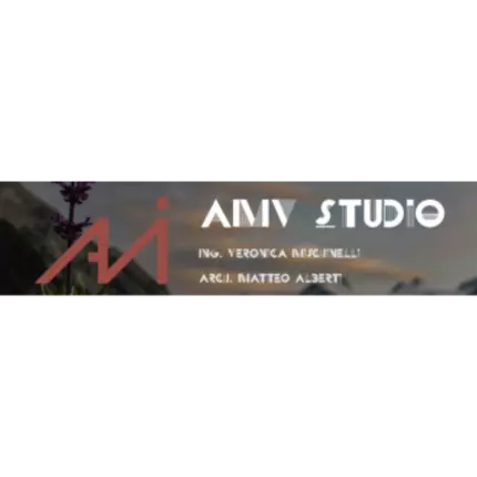 Logotyp från AMV Studio