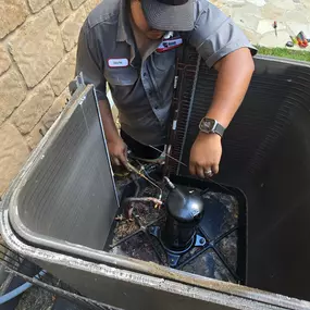 Bild von C. Woods Company