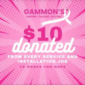 Help us donate to Hoops for Hope