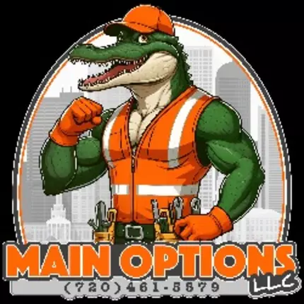 Logo de Main Options LLC