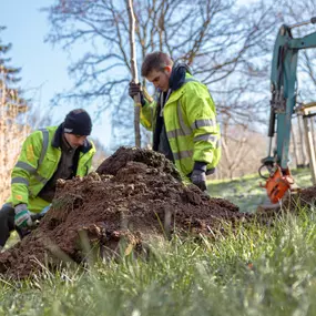 Bild von mags - Mönchengladbacher Abfall-Grün- und Straßenbetriebe