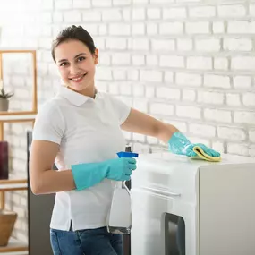 Chicago House Maids