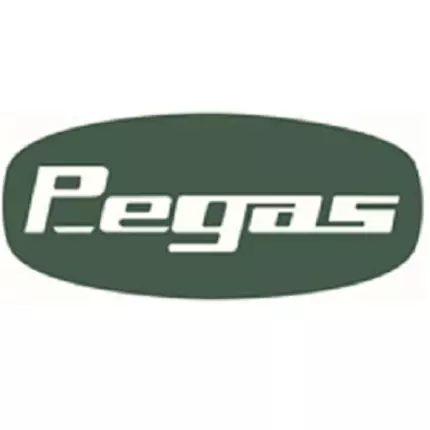 Logotyp från Pegas