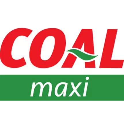 Logo from Maxi Coal