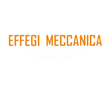 Logo van Effegi Meccanica