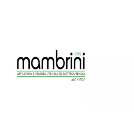 Logo von Mambrini S.a.s.