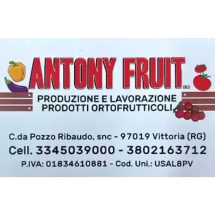 Logo fra Antony Fruit - Produzione e Lavorazione Prodotti Ortofrutticoli