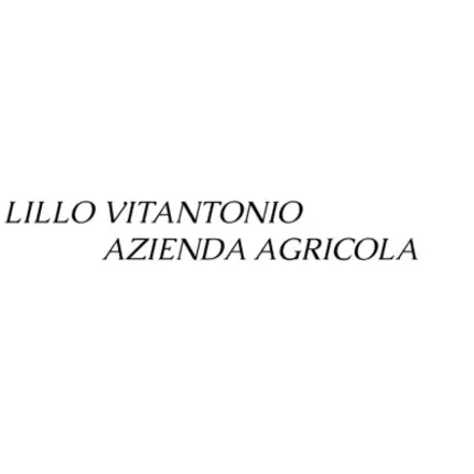 Logo de Lillo Vitantonio Azienda Agricola