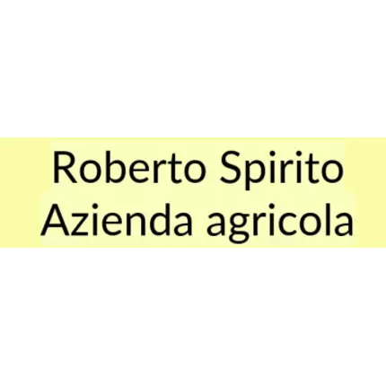 Logótipo de Roberto Spirito