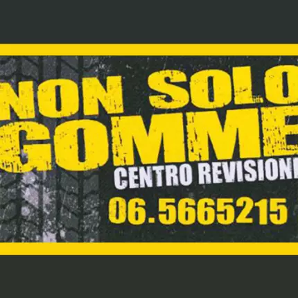 Logo da Non Solo Gomme - Vendita Riparazione Gomme - Centro Revisione