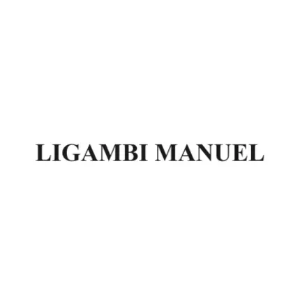 Logo von Li Gambi Manuel