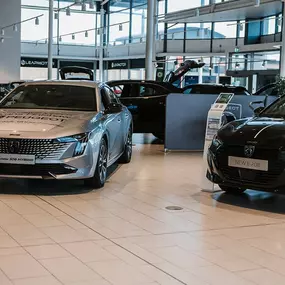 Evans Halshaw Peugeot Hull Interior Showroom