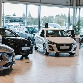 Evans Halshaw Peugeot Hull Interior Showroom