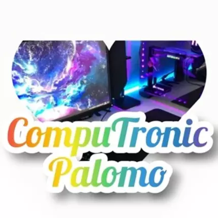 Logo fra CompuTronic Palomo