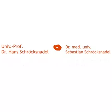 Logo from Dr. med. univ. Sebastian Schröcksnadel