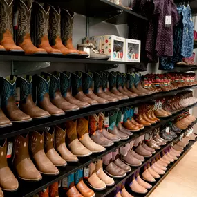 Bild von Ariat Outlet