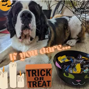 Can you ever be too old?
If you need some candy to check, stop on by.  Dalton passing out treats ????????????
???? Happy Halloween ????