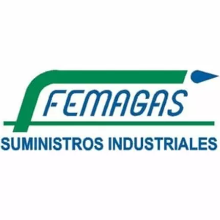 Logo from Femagas