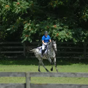 Bild von Phoenix Equestrian Center, LLC