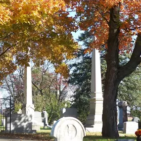 Fall in Columbia Cemetery
30 E Broadway, Columbia, MO 65203